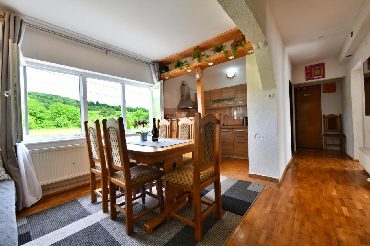 Apartment Marija Zupan ราโควิซา ภายนอก รูปภาพ
