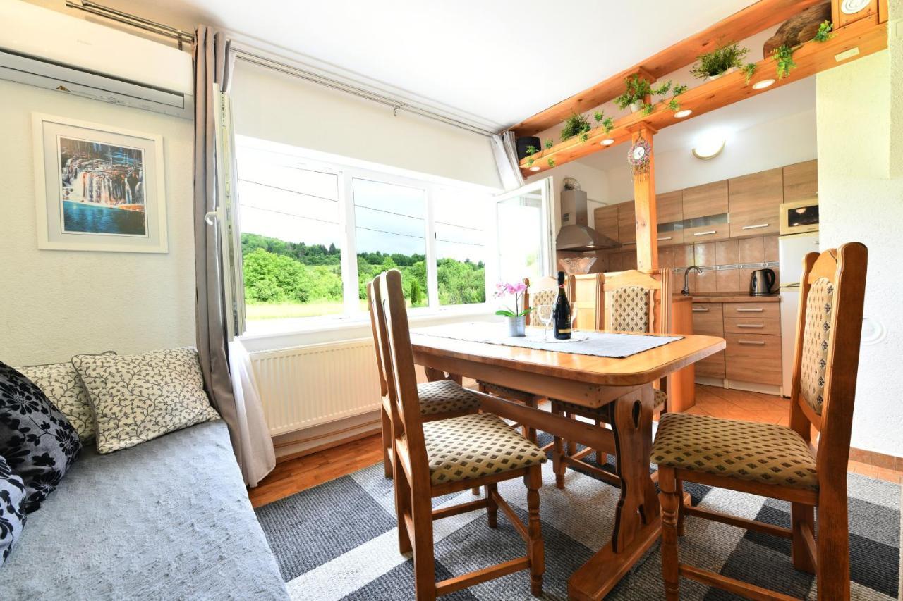 Apartment Marija Zupan ราโควิซา ภายนอก รูปภาพ