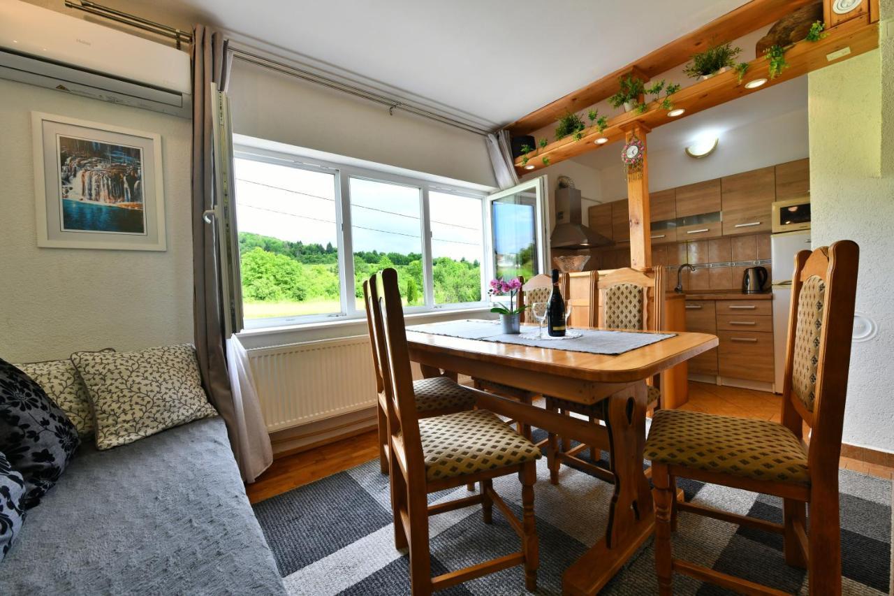 Apartment Marija Zupan ราโควิซา ภายนอก รูปภาพ