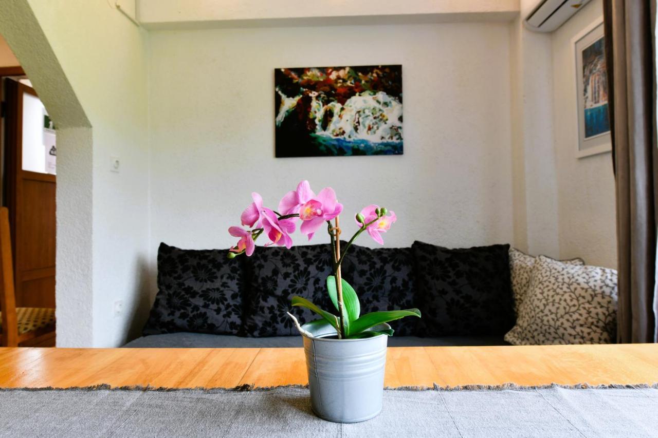 Apartment Marija Zupan ราโควิซา ภายนอก รูปภาพ