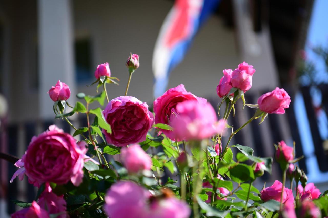Apartment Marija Zupan ราโควิซา ภายนอก รูปภาพ
